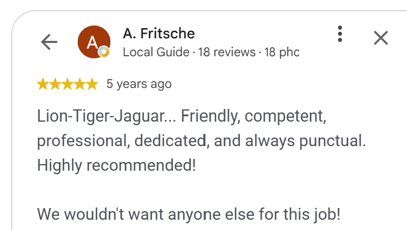 5-star Google review by A. Fritsche: Tim Steckel and Lion Tiger Jaguar are friendly, competent and always punctual
