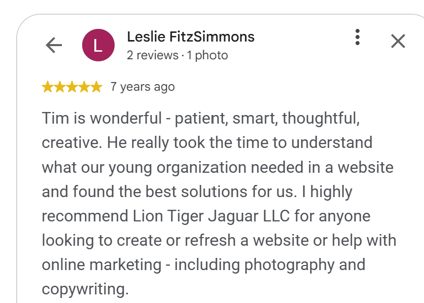 5-star Google review by Leslie FitzSimmons: Tim Steckel is patient, smart and creative in website and marketing work