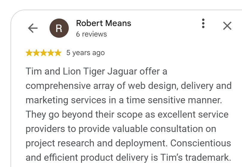 5-star Google review by Robert Means: Lion Tiger Jaguar delivers web design and marketing conscientiously and on time